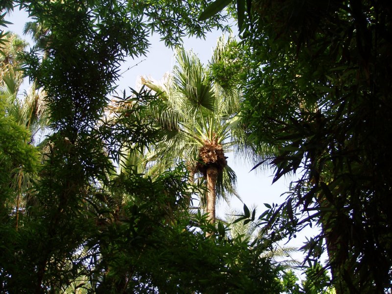 marokko05 - 049
